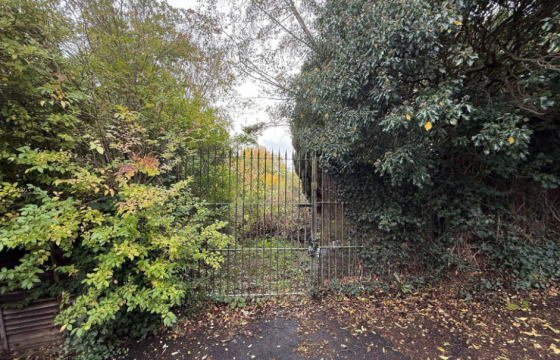 Development Plot in Lanesfield photo